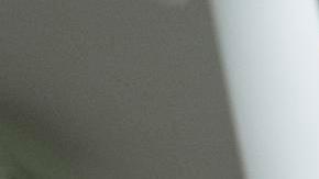 Biden destacó la colaboración entre la Asociación Internacional de Estibadores (ILA) y la Alianza Marítima de Estados Unidos.