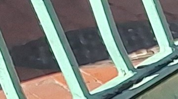 Las fuerzan del orden contabilizan más delitos perpetrados por menores de edad desde 2017.