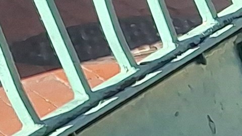 Las fuerzan del orden contabilizan más delitos perpetrados por menores de edad desde 2017.