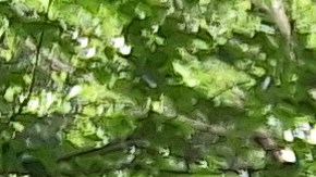 La nueva política se analiza para disminuir horas extras de los uniformados.