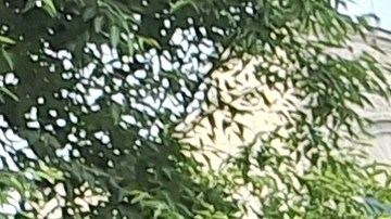 Una coalición de emprendedores comerciales y bodegueros temen que se detengan ciertos avances en la lucha contra la criminalidad en la Gran Manzana.