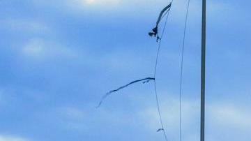 Daños tras el paso del huracán Milton por Bradenton, Florida, EE.UU., este jueves.