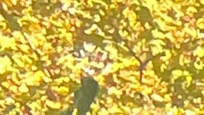 Trabajadores de la industria hotelera celebran nueva ley