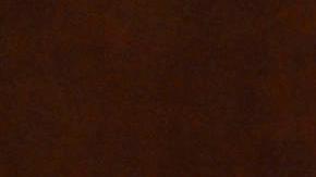 La asesora principal para América Latina del Centro Carter, Jennie Lincoln, muestra una acta electoral de las elecciones presidenciales de Venezuela.