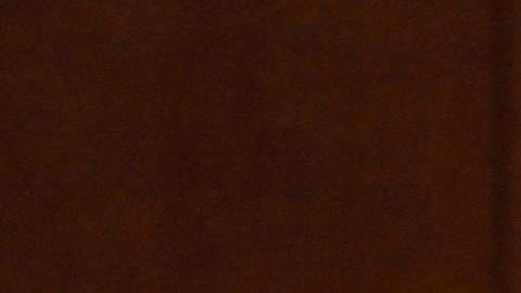 La asesora principal para América Latina del Centro Carter, Jennie Lincoln, muestra una acta electoral de las elecciones presidenciales de Venezuela.