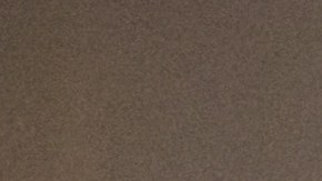 Nydia Velazquez y AOC endosan la Alianza