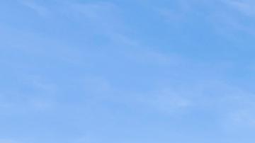 El documento fue redactado por un grupo de trabajo presidido por Maud de Boer-Buquicchio.