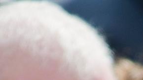 El presidente y el primer ministro hablaron de varios asuntos, dijo la Casa Blanca.