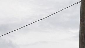 El gobernador Ron DeSantis, amplió el estado de emergencia a 51 de los 67 condados del área.