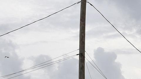 El gobernador Ron DeSantis, amplió el estado de emergencia a 51 de los 67 condados del área.