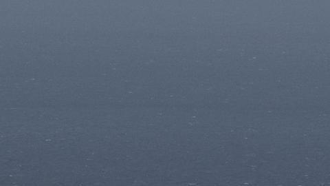 El gobierno de Chile envió un avión de la Fuerza Aérea para la evacuación.