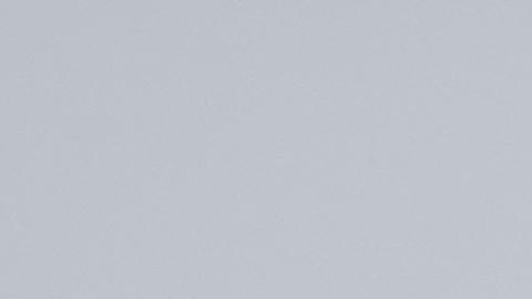 Macron dejó clara "la solidaridad del pueblo francés con el israelí, sobre todo con las víctimas, los rehenes y sus familias".