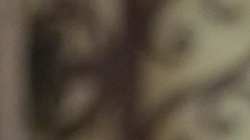 Estados Unidos ha sido el mayor apoyo de Ucrania en la guerra contra Rusia.