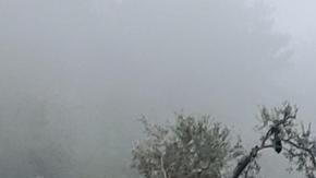 Docenas de personas perdieron la vida en un solo día en Líbano.