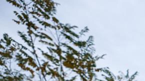 El Ejército dijo que perdió el rastro de otros 32 vehículos no tripulados.