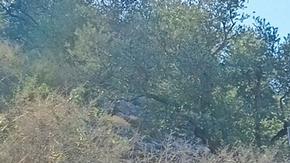 Las autoridades sanitarios informaron que hasta el momento han muerto 168 médicos en Líbano.