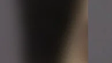 Arrestan a dueño de un perro que fue abandonado durante el huracán Milton