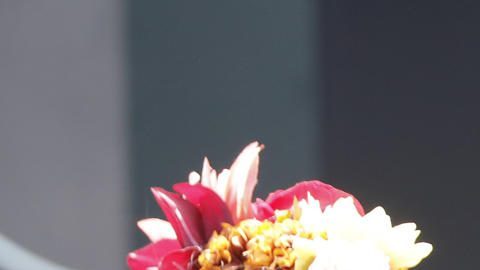 Personas disfrazadas de catrinas participan en el primer día de actividades del Gran Premio de la Fórmula 1, este jueves en el Autódromo Hermanos Rodríguez de la Ciudad de México.