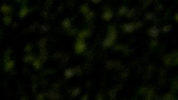 El presidente Joe Biden todavía no se ha pronunciado públicamente sobre la filtración de documentos.