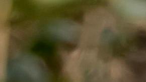 Inundaciones por Helene en North Carolina