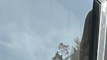 Mexicanos de YC esperanzados con Gobierno de Claudia Sheinbaum