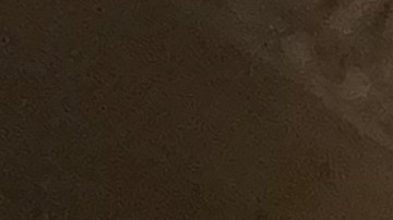 El Alcalde, Eric Adams, en entrevista con El Diario NY