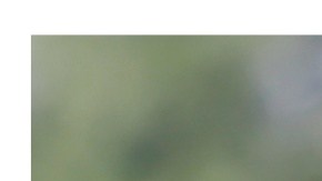 El influencer publicó varios mensajes en X celebrando el ataque iraní en contra de Israel.