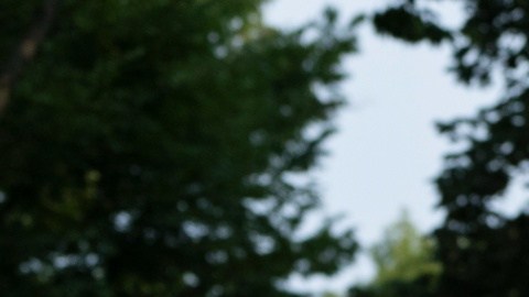 Al parecer, Donald Trump intentó hacer fotografías y videos en el cementerio de Arlington, lo cual está prohibido.