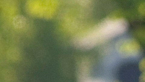 El hispano, que tiene un largo historial de antecedentes penales que incluye 17 detenciones anteriores por robo, posesión de drogas, allanamiento y agresión.