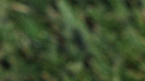 Ecuador se encuentra del luto por el fallecimiento de Roberto Cabezas.