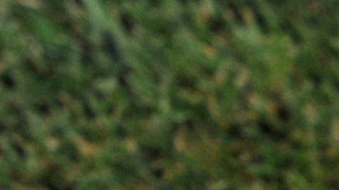 Ecuador se encuentra del luto por el fallecimiento de Roberto Cabezas.