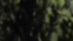 Marlon Perez durante los Juegos Panamericanos de 2011. (AP Photo/)