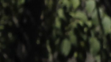 Marlon Perez durante los Juegos Panamericanos de 2011. (AP Photo/)