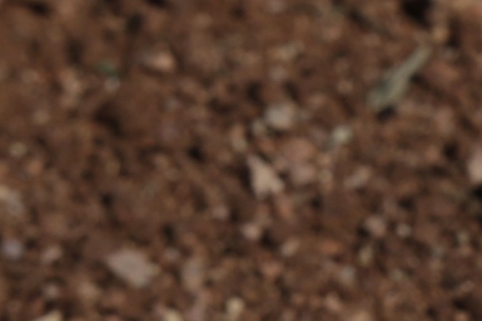 Pelota del 50/50 de Ohtani alcanzó un récord de subasta.