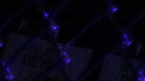 La carrera de Vasconcelos en MMA duró siete años.