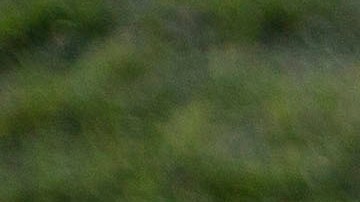 El niño del Eintratch Frankfurt se robó todas las miradas.