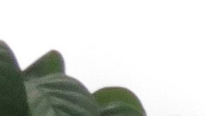 Basura en vertedero en Puerto Rico