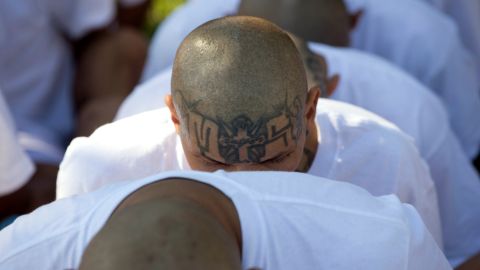 Miembros de la Mara Salvatrucha (MS-13). FOTO REFERENCIAL.