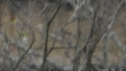 En un video de un helicóptero se puede observar un pedazo del tronco del árbol encajado debajo de la parte de adelante del tren.