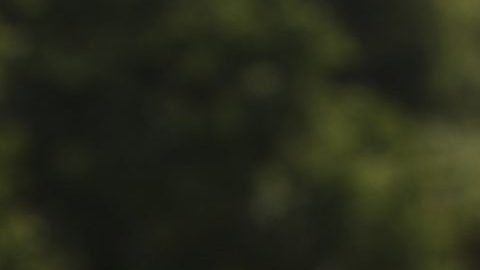 Rafael Nadal se retiró del tenis a sus 38 años.