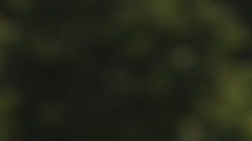 Rafael Nadal se retiró del tenis a sus 38 años.