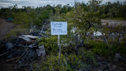 Cambio climático en Puerto Rico