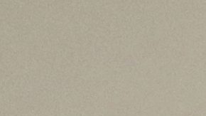 Dana White, presidente de la UFC.