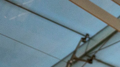 Las elecciones se realizan el 5 de noviembre de 2024.