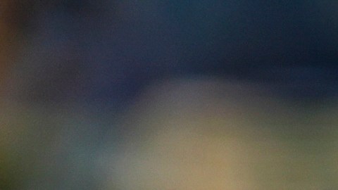No había registros de que la joven hubiese sido reportada como desaparecida.
