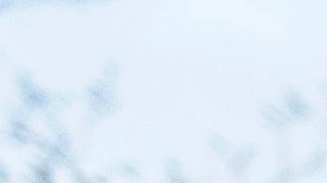 Arrestados 11 manifestantes pro palestinos por disturbios en la Universidad de Minnesota