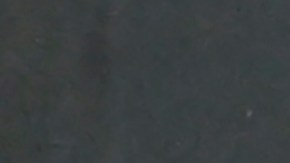 David comandó al triunfo del Lille sobre Real Madrid.