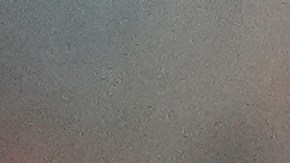 Ecuatoriano Leonardo Campana impulsa al Inter Miami al récord de puntos en MLS