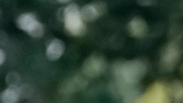 Biden pidió a DeSantis y Castor que "lo llamaran directamente si hay algo que se pueda hacer" para seguir apoyando las tareas de respuesta y recuperación.