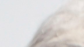 En el documento, que cuenta con 158 páginas y abarca desde el 1 de septiembre de 2023 y el 31 de agosto de 2024 en Venezuela.